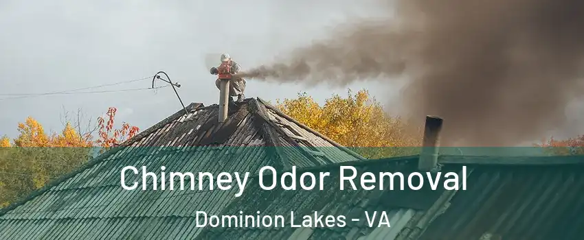Chimney Odor Removal Dominion Lakes - VA