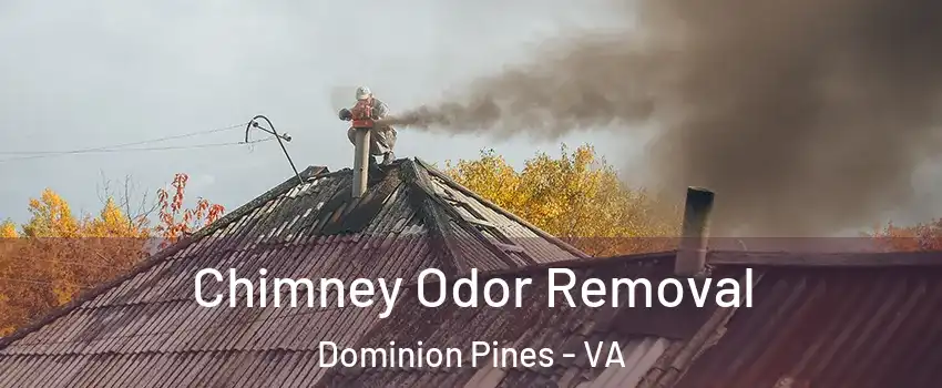 Chimney Odor Removal Dominion Pines - VA