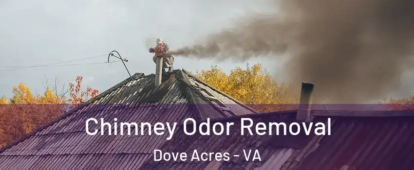 Chimney Odor Removal Dove Acres - VA