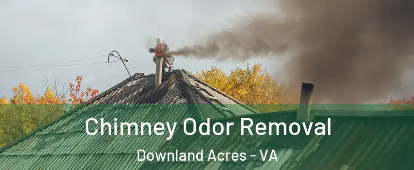 Chimney Odor Removal Downland Acres - VA