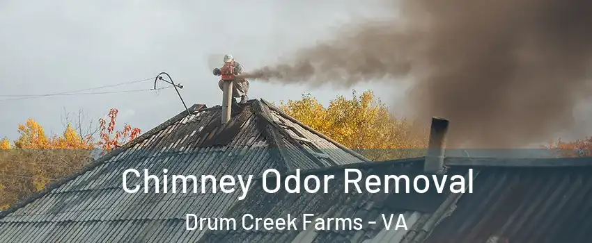 Chimney Odor Removal Drum Creek Farms - VA