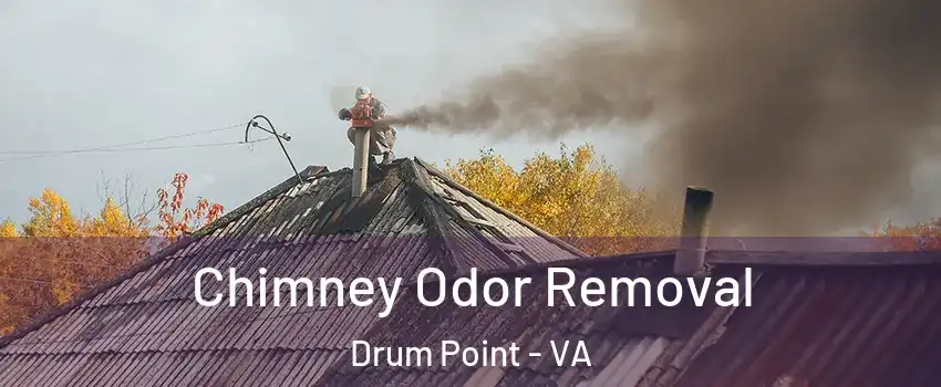 Chimney Odor Removal Drum Point - VA