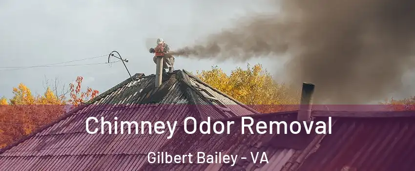 Chimney Odor Removal Gilbert Bailey - VA