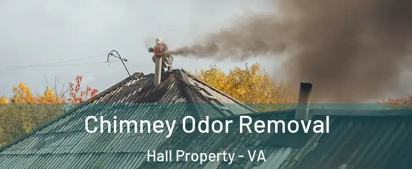 Chimney Odor Removal Hall Property - VA
