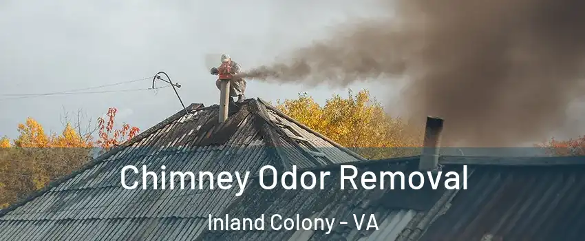 Chimney Odor Removal Inland Colony - VA