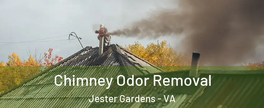 Chimney Odor Removal Jester Gardens - VA