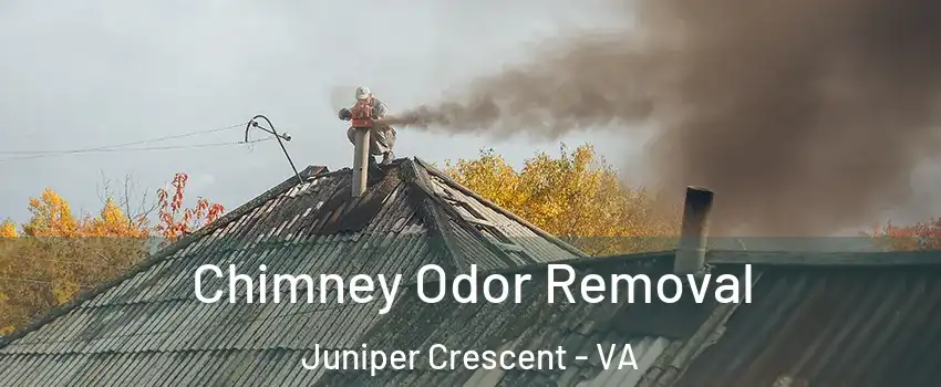 Chimney Odor Removal Juniper Crescent - VA
