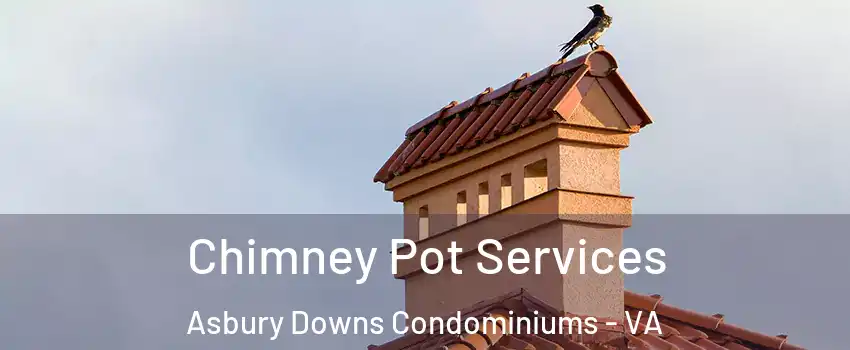 Chimney Pot Services Asbury Downs Condominiums - VA