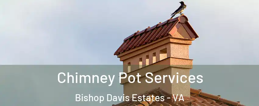 Chimney Pot Services Bishop Davis Estates - VA