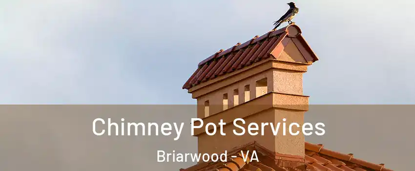 Chimney Pot Services Briarwood - VA