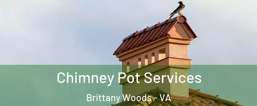 Chimney Pot Services Brittany Woods - VA