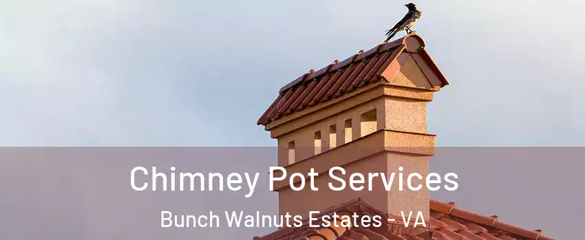 Chimney Pot Services Bunch Walnuts Estates - VA