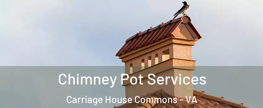 Chimney Pot Services Carriage House Commons - VA