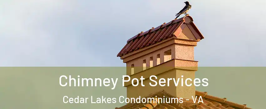 Chimney Pot Services Cedar Lakes Condominiums - VA