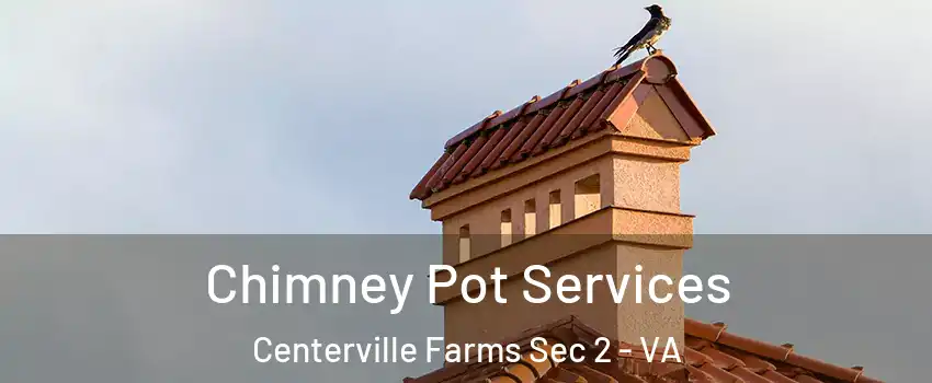 Chimney Pot Services Centerville Farms Sec 2 - VA