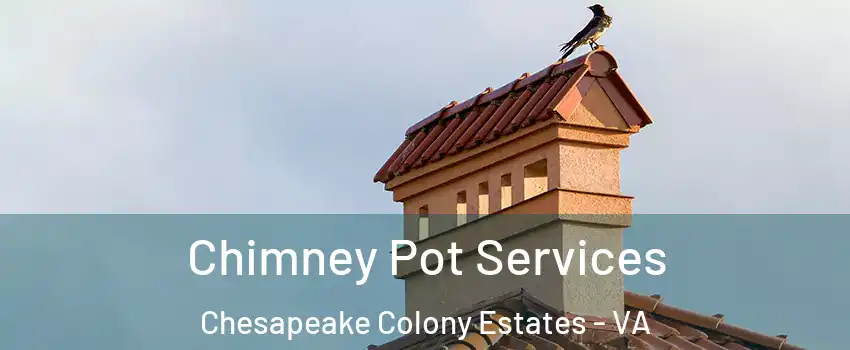 Chimney Pot Services Chesapeake Colony Estates - VA