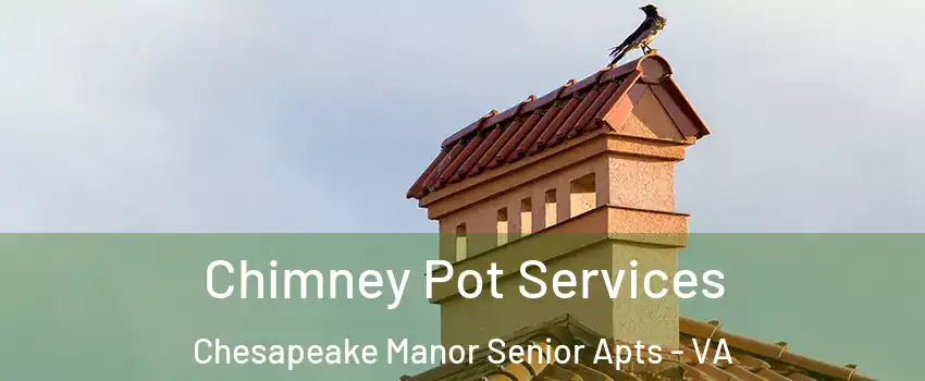 Chimney Pot Services Chesapeake Manor Senior Apts - VA