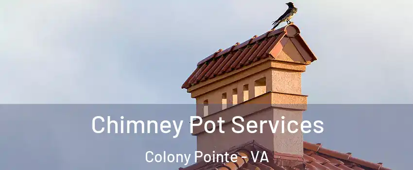 Chimney Pot Services Colony Pointe - VA