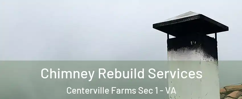 Chimney Rebuild Services Centerville Farms Sec 1 - VA
