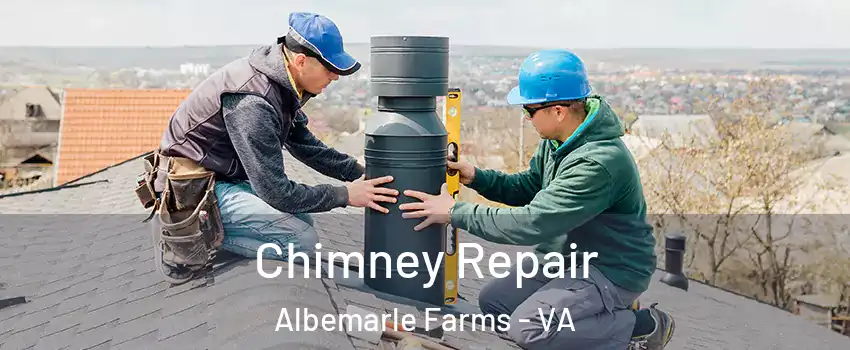 Chimney Repair Albemarle Farms - VA