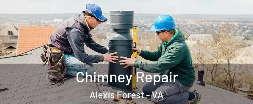 Chimney Repair Alexis Forest - VA