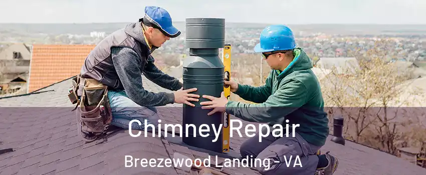 Chimney Repair Breezewood Landing - VA