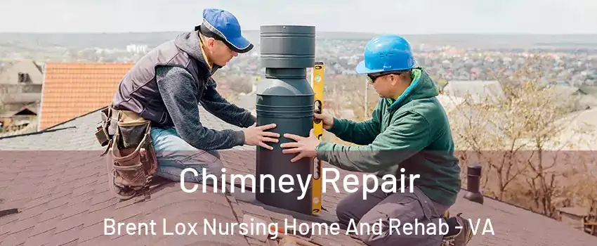 Chimney Repair Brent Lox Nursing Home And Rehab - VA