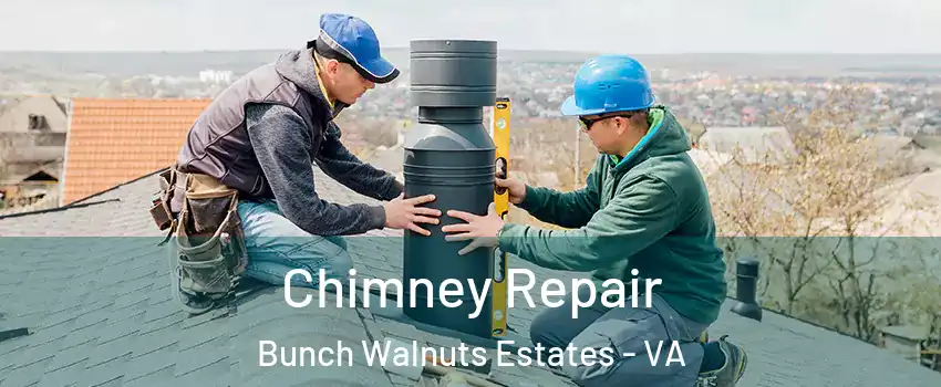 Chimney Repair Bunch Walnuts Estates - VA