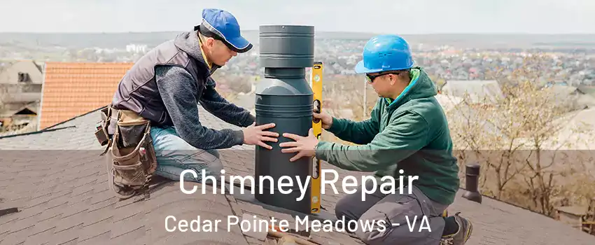 Chimney Repair Cedar Pointe Meadows - VA