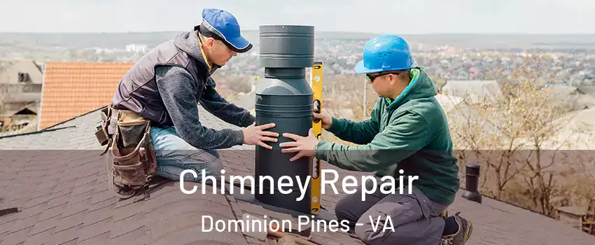 Chimney Repair Dominion Pines - VA