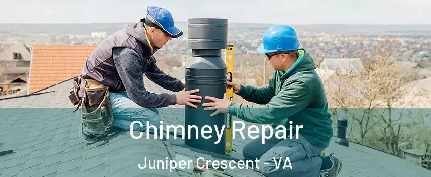 Chimney Repair Juniper Crescent - VA