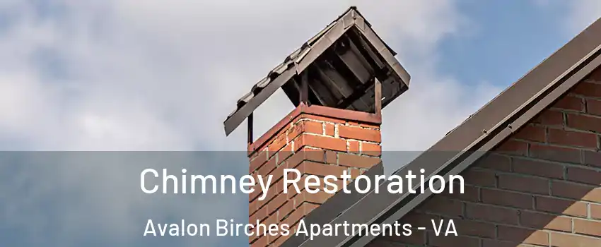 Chimney Restoration Avalon Birches Apartments - VA