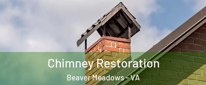 Chimney Restoration Beaver Meadows - VA