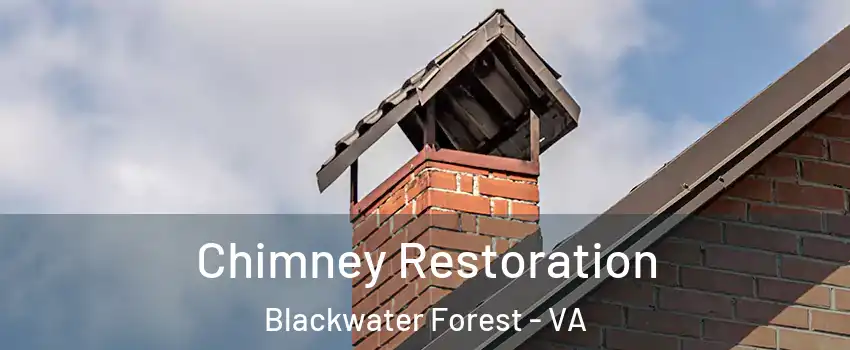 Chimney Restoration Blackwater Forest - VA