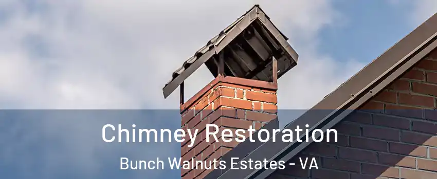 Chimney Restoration Bunch Walnuts Estates - VA