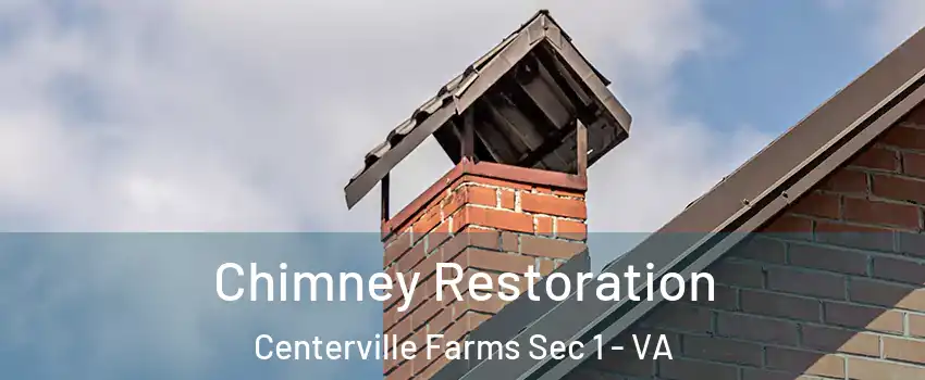 Chimney Restoration Centerville Farms Sec 1 - VA