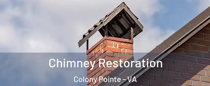 Chimney Restoration Colony Pointe - VA