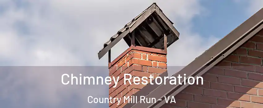 Chimney Restoration Country Mill Run - VA