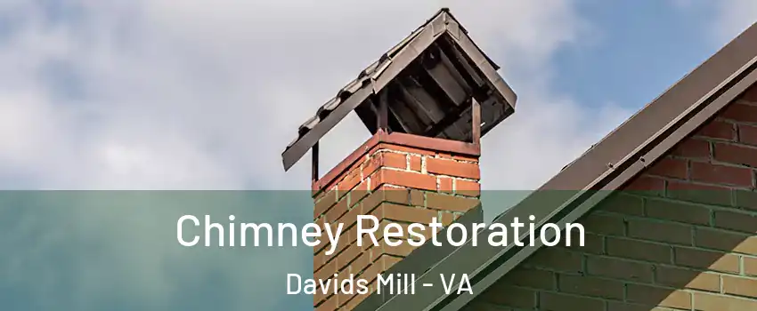Chimney Restoration Davids Mill - VA