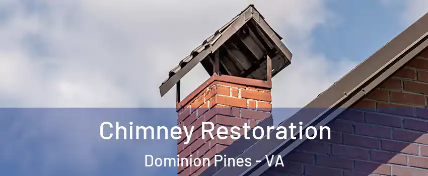 Chimney Restoration Dominion Pines - VA