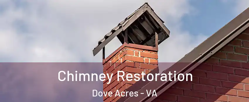 Chimney Restoration Dove Acres - VA