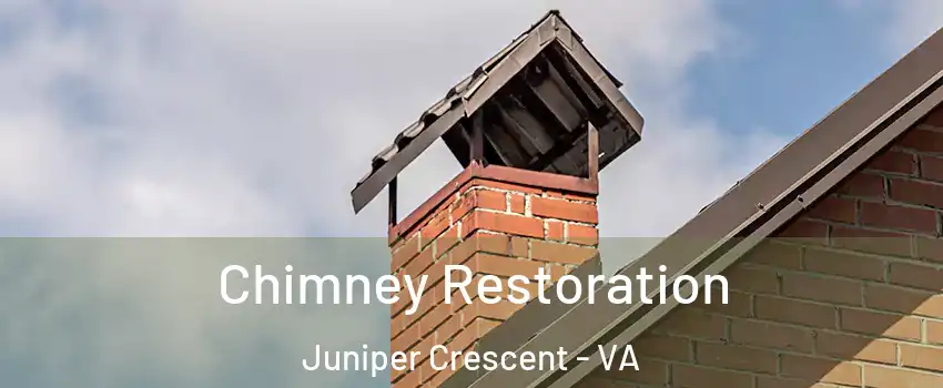 Chimney Restoration Juniper Crescent - VA