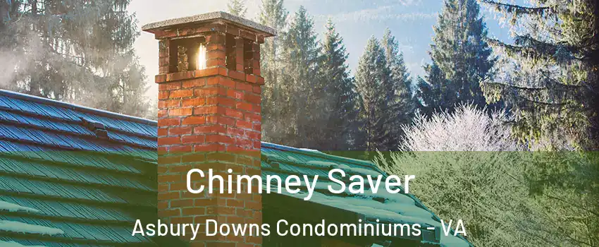Chimney Saver Asbury Downs Condominiums - VA