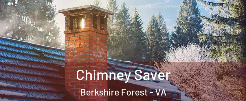 Chimney Saver Berkshire Forest - VA