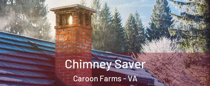 Chimney Saver Caroon Farms - VA