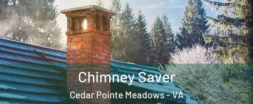 Chimney Saver Cedar Pointe Meadows - VA