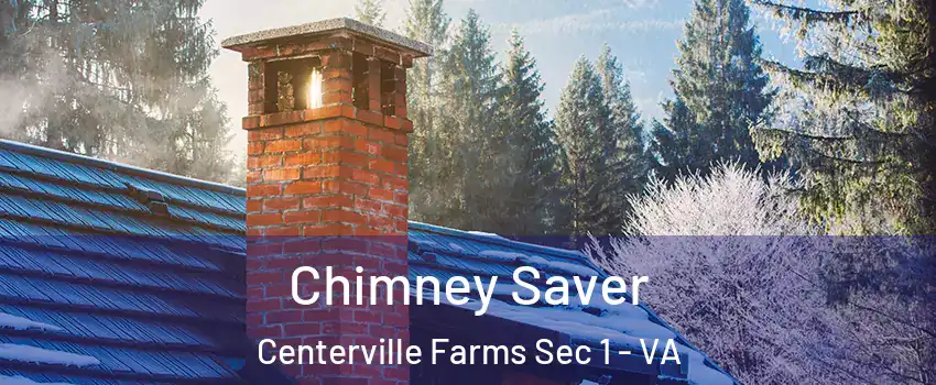 Chimney Saver Centerville Farms Sec 1 - VA