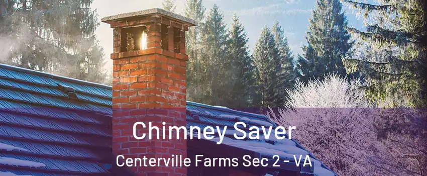 Chimney Saver Centerville Farms Sec 2 - VA