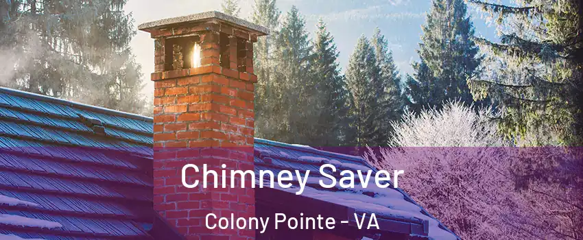 Chimney Saver Colony Pointe - VA