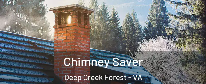 Chimney Saver Deep Creek Forest - VA